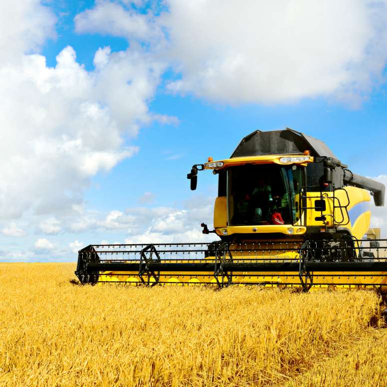 Farm combine harvester