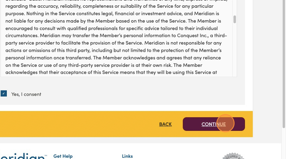 Consent agreement for the tool. The Yes I consent checkbox is ticked off and the Continue button is circled.