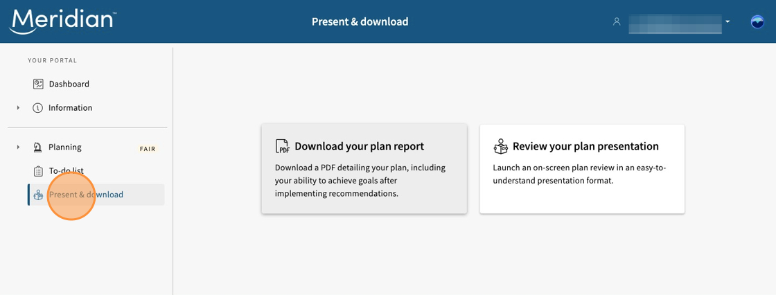 Present and download tab with options to download your plan report or review your plan presentation.