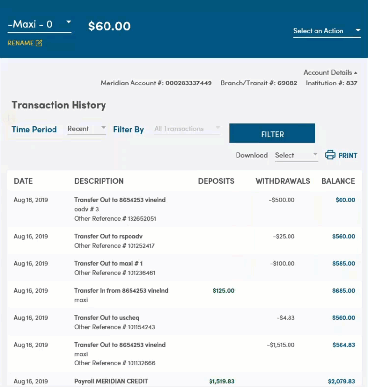 Account details page with balance and transaction history