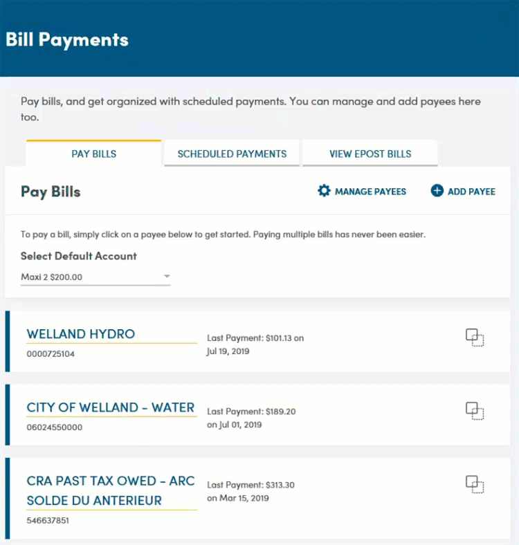 After entering bill payment info user can review