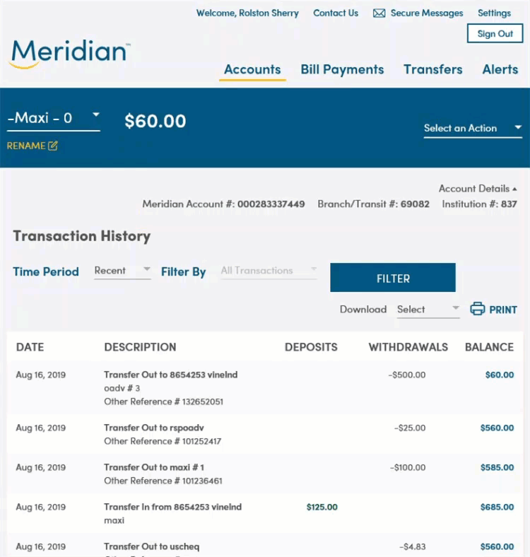 Account details page with balance and transaction history