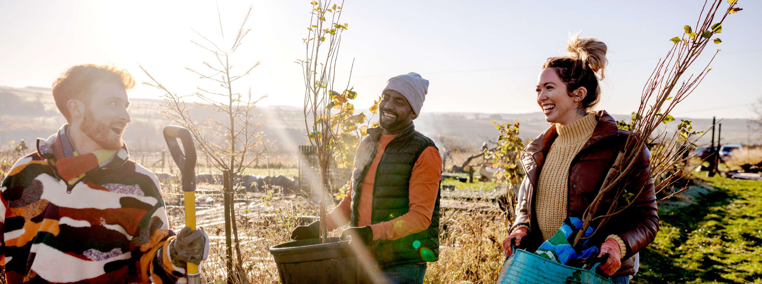 three people outdoors planting trees