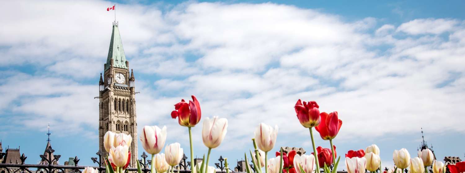 Canada’s parliament building in Ottawa with vibrant flowers