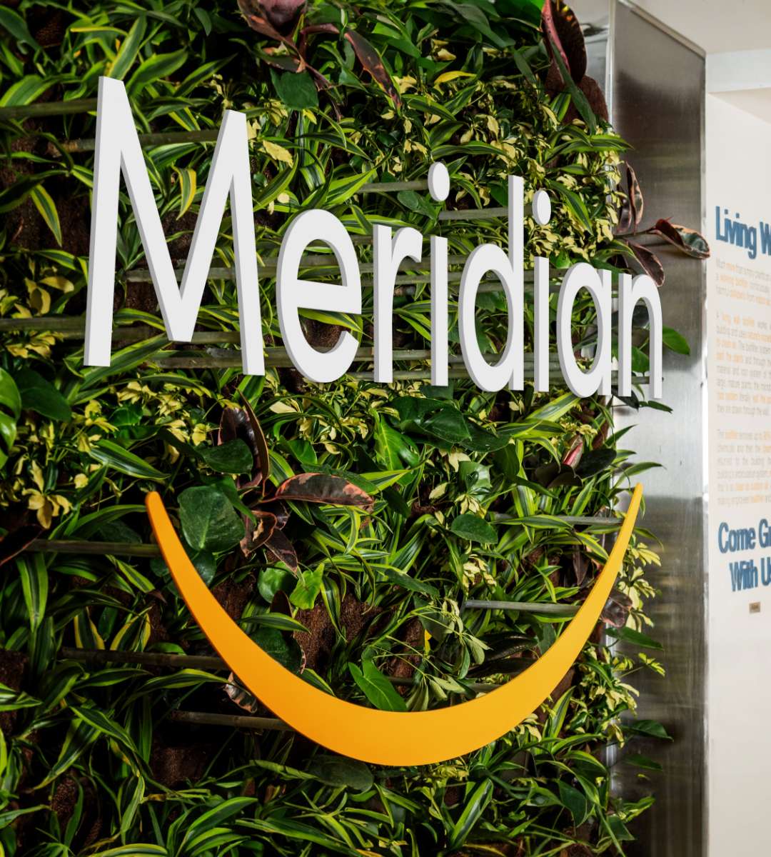 Living wall with plants and Meridian logo at corporate office